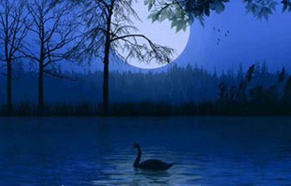 Picture of MIDNIGHT ESSENCE SOAP