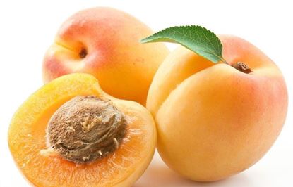 Picture of APRICOT SOAP