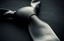Picture of SOY WAX MELTS - 50 SHADES (Type)
