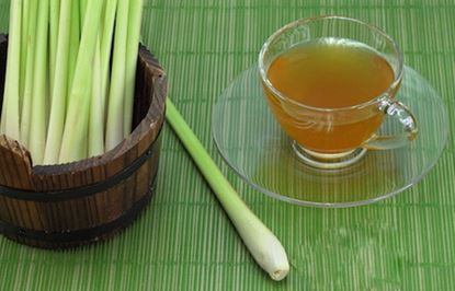 Picture of SOY WAX MELTS - GREEN TEA AND LEMONGRASS