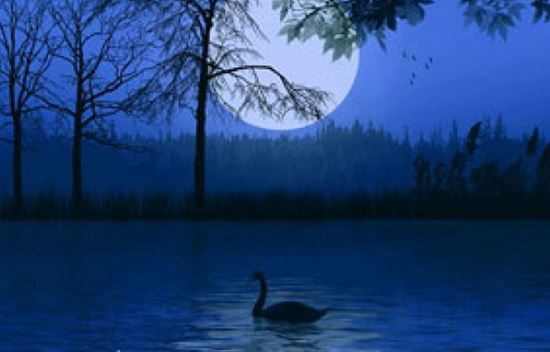 Picture of SOY WAX MELTS - MIDNIGHT ESSENCE